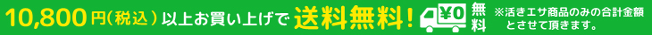 送料無料について