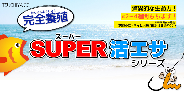 SUPER石ゴカイ