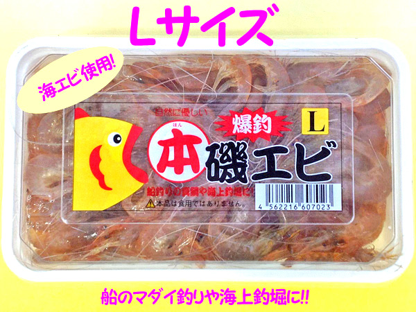 磯エビL